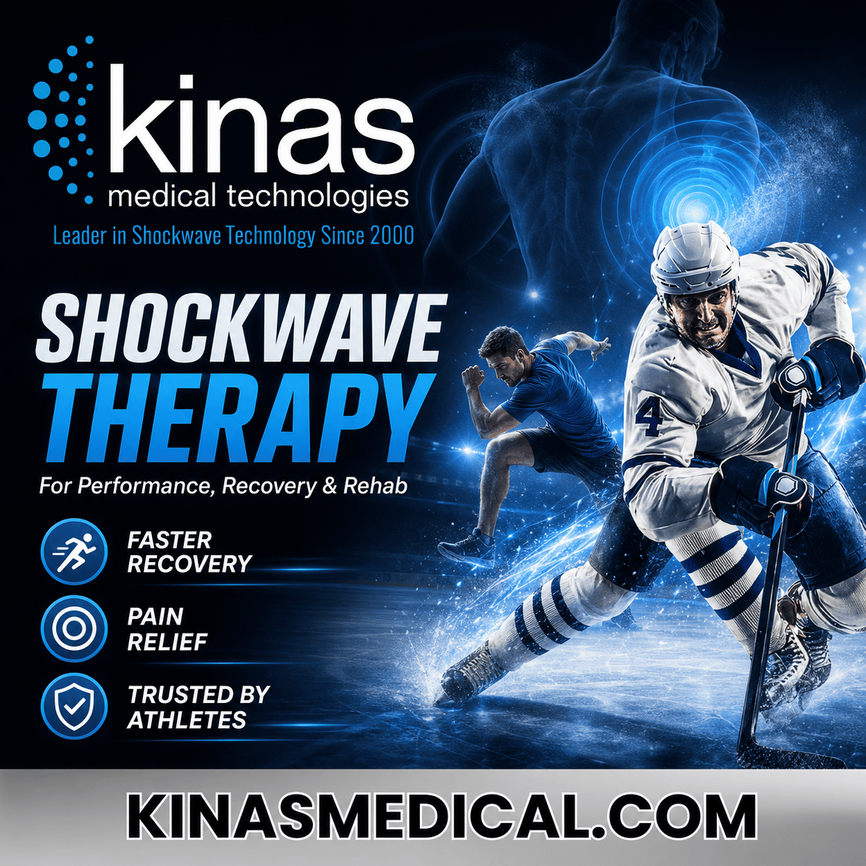phcs-kinas-silver-sponsor